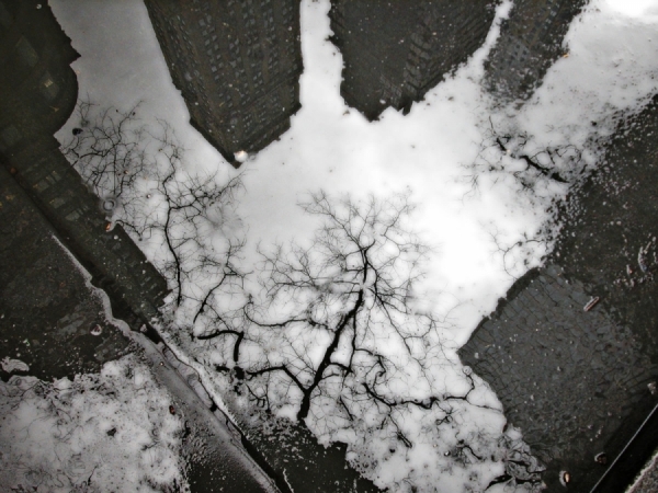Photograph Alice Fung Yee Ng City Reflection In Rain on One Eyeland